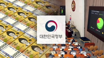 국무회의 의결…“경기 침체 응급조치“ 신속 집행 당부