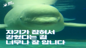 [소셜스토리] “돌고래 전시하는 수족관, 가지 말아 주세요“