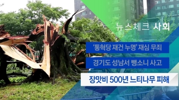 [뉴스체크｜사회] 장맛비 500년 느티나무 피해