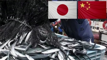 태평양서 꽁치 '싹쓸이' 한 중국…일본 “어획량 제한하자“