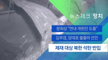 [뉴스체크｜정치] 제재 대상 북한 석탄 반입