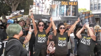 LA 총영사관 앞 '개고기 식용 반대' 시위…산낙지도 불똥
