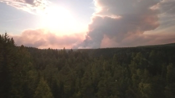 [해외 이모저모] 스웨덴 곳곳 산불 발생…12년 만에 최악