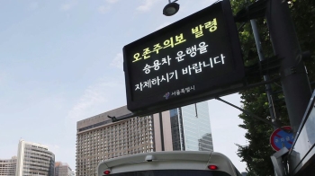 폭염과 함께 '오존 습격'…서울 전역 닷새째 오존주의보