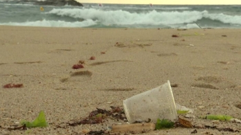 [밀착카메라] 피서철 해변가 쓰레기…'생태계 부메랑'으로