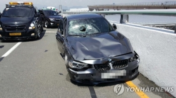 김해공항 'BMW 질주사고' 피해자 보름 만에 의식 회복