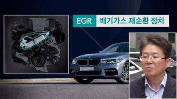 김필수 교수 “BMW, 유독 우리나라에서만 화재 생기는 이유는…“