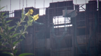[밀착카메라] 도심 속 열대우림? 20년째 방치된 '유령 건물'