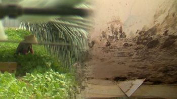 [밀착카메라] 곰팡이·찜통 비닐 집…농촌 외국인 기숙사 실태