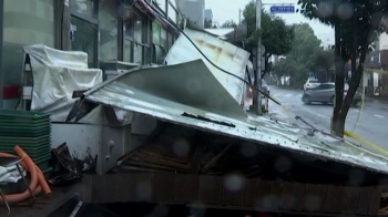 제주 할퀸 강풍…대형 간판 붕괴, 야자수·전봇대까지 꺾여