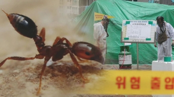 검사서 빠진 석재, 화물차는 곳곳에…붉은불개미 방역 구멍