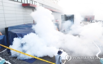 “안산 컨테이너 붉은불개미 모두 죽어…여왕개미 발견 안돼“