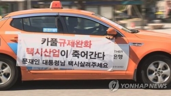 '택시 운행중단 예고'에 국토부 “지자체에 교통대책 마련 지시“