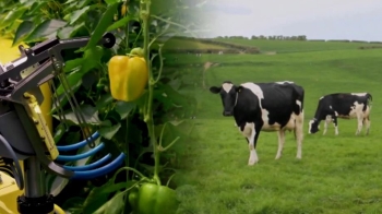 소의 건강, 'AI·로봇'이 원격체크…유럽 농촌 변화 바람
