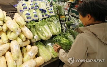 채소 가격 한주 새 12% 하락…“김장철 배춧값 10% 오를 듯“