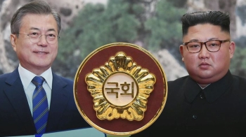 평양선언·군사합의 국무회의 의결 거쳐 비준…한국당 반발