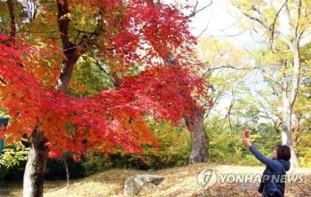 가을비 머금은 단풍…울긋불긋 산천에서 '낭만 주말' 즐겨