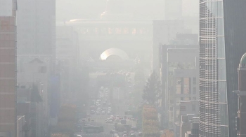 수도권에 비상 저감조치…'미세먼지' 실질적인 대책은