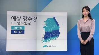 [날씨] 반가운 빗소리…비바람에 미세먼지 일단 해소