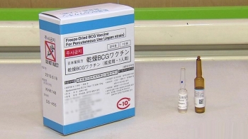 '결핵 예방' BCG 백신 비소 검출 논란…관리 실태 '구멍'