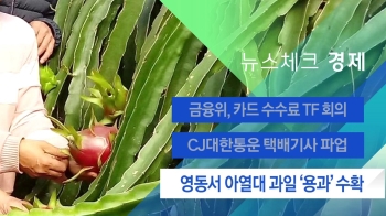 [뉴스체크｜경제] 영동서 아열대 과일 '용과' 수확 