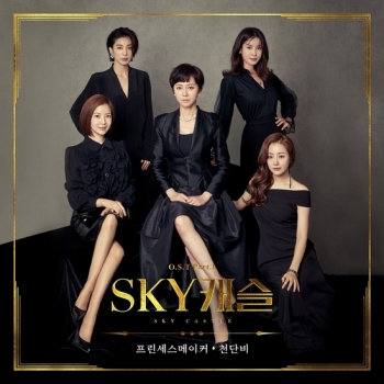 'SKY 캐슬' OST 첫 주자는 천단비…'프린세스메이커' 음원공개