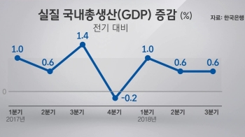 2분기째 찔끔 성장…“경제심리지표 하락에 더 염려“