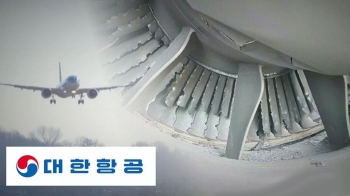 운항 1년 안 됐는데…대한항공기 엔진 결함으로 회항