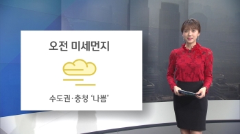 [오늘의 날씨] 오전 미세먼지 농도 높아…수도권·충청 '나쁨'