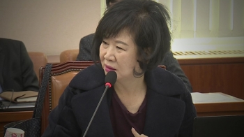 목포 건물 9채 매입…민주당 손혜원 의원 '투기' 의혹