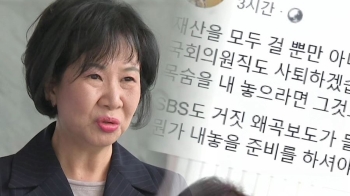 손혜원 “재산·의원직까지 걸겠다“…투기 의혹 강력 부인