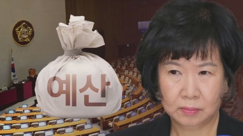 손혜원 겨냥 '쪽지예산' 비난에 반발한 평화당 의원들, 왜?