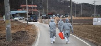 살처분 설명도 없이 트럭배치…축산농가 한때 격앙