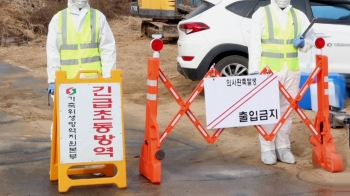 안성과 역학관계 없는 충주서도…구제역 방역전선 비상