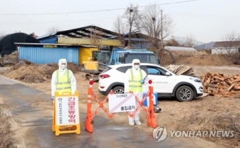 충주 노은면 구제역 의심 신고 소, 간이검사서 '음성'