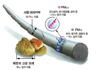 “미세먼지, 호흡기질환자에 '실질적' 위협…사망률 높여“