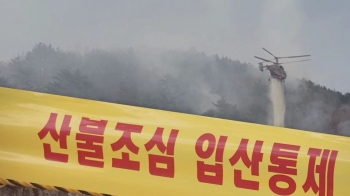 부산 승학산 3곳서 동시에 불길…“방화“ vs “자연발화“