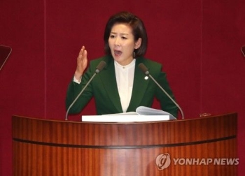 청와대 “나경원 발언, 국가원수·한반도 평화 염원하는 국민에 모독“