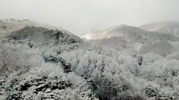 3월의 마지막 주말, 계절 역주행…벚꽃 대신 눈꽃 펑펑