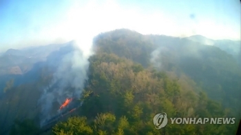 순천 산불 하루 만에 잡혀…5ha 소실, 잔불 진화