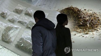 '마약 투약' 현대가 3세, 여동생도 과거 대마초 흡연