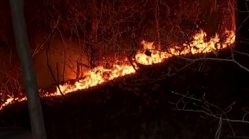 해운대 산불, 강풍에 재발화 '진화 작업'…인명피해 없어