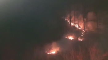 진천 야산서 불 0.5㏊ 소실…“입산객 부주의 추정“