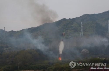 경북 포항 또 산불…창포동 야산서 1시간여 만에 진화