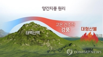 [강원산불] '양간지풍' 불면 순식간에 초토화…대형산불 원인