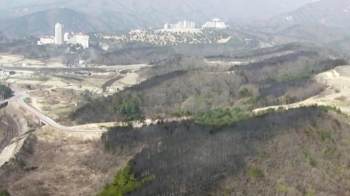 강원 산불 '재난사태'…1명 숨지고 '여의도 면적' 잿더미로