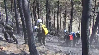 강원 지역 산불 진화 마무리 단계…눈·비 예보에 '안도' 