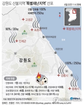 여야, 강원 산불지역 특별재난지역 선포 환영…“피해복구 협력“