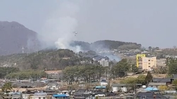 건조한 날씨 속 부산서 또 산불…임야 1천700㎡ 태워