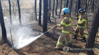 강원 고성산불 피해지역서 강풍에 재발화…50분 만에 진화